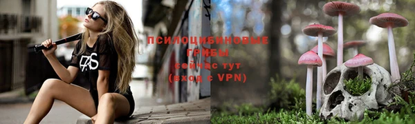 индика Тавда