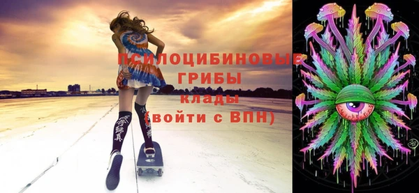 дмт Белокуриха
