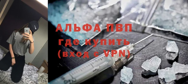 дмт Белокуриха